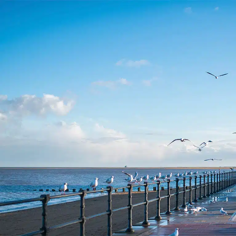 cleethorpes 1